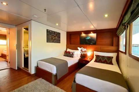Elite Ocean View Stateroom